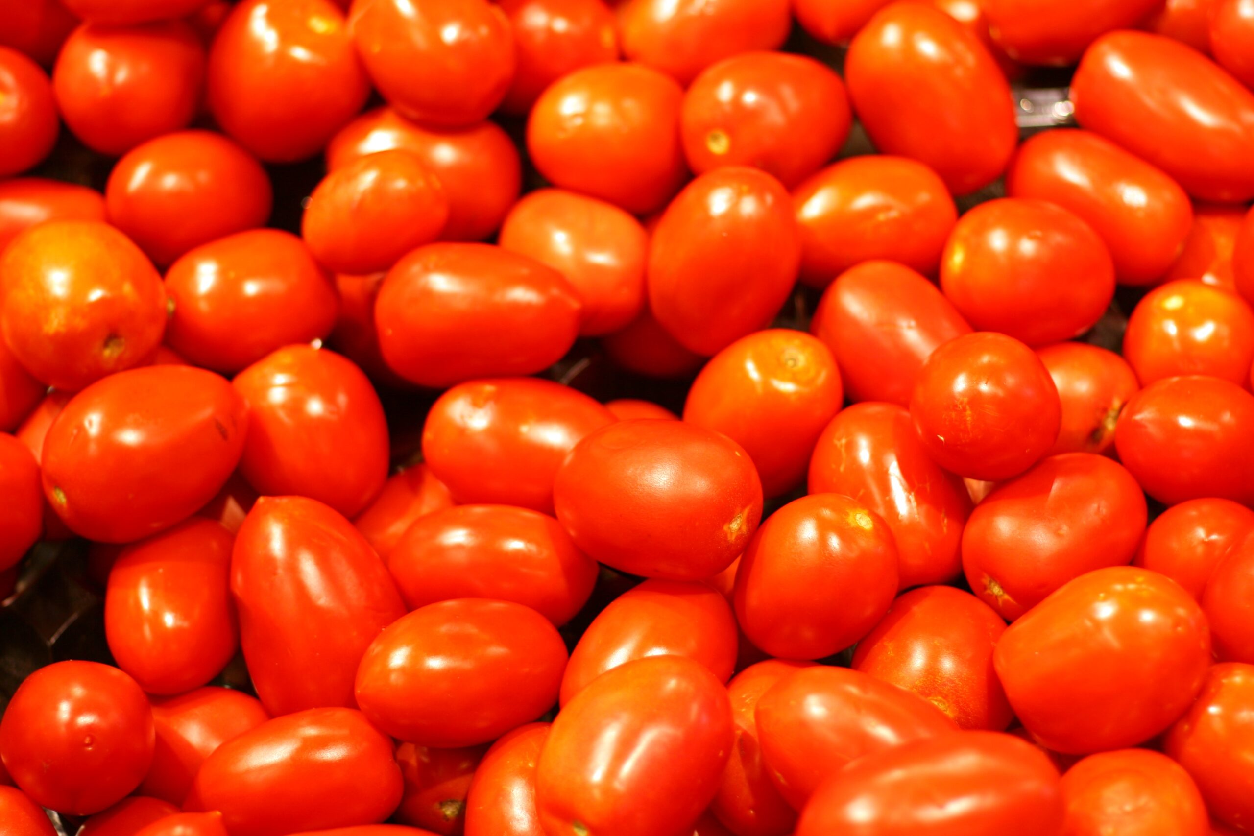 Tomato (Roma)